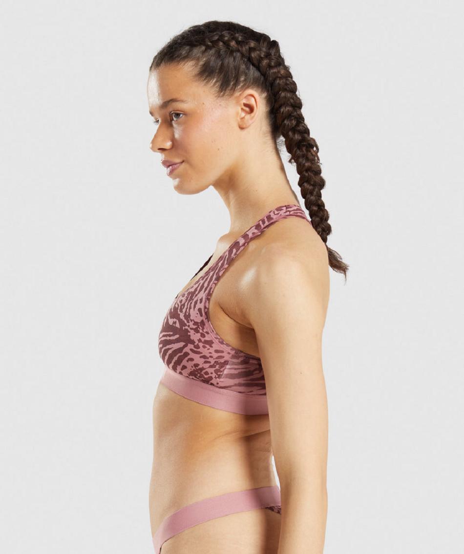 Gymshark Cotton Ženske Bralette Roze | HR 3174XYU